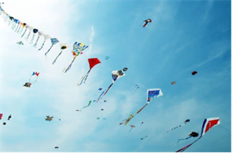 杭州亲子游，2016年植树节亲子活动